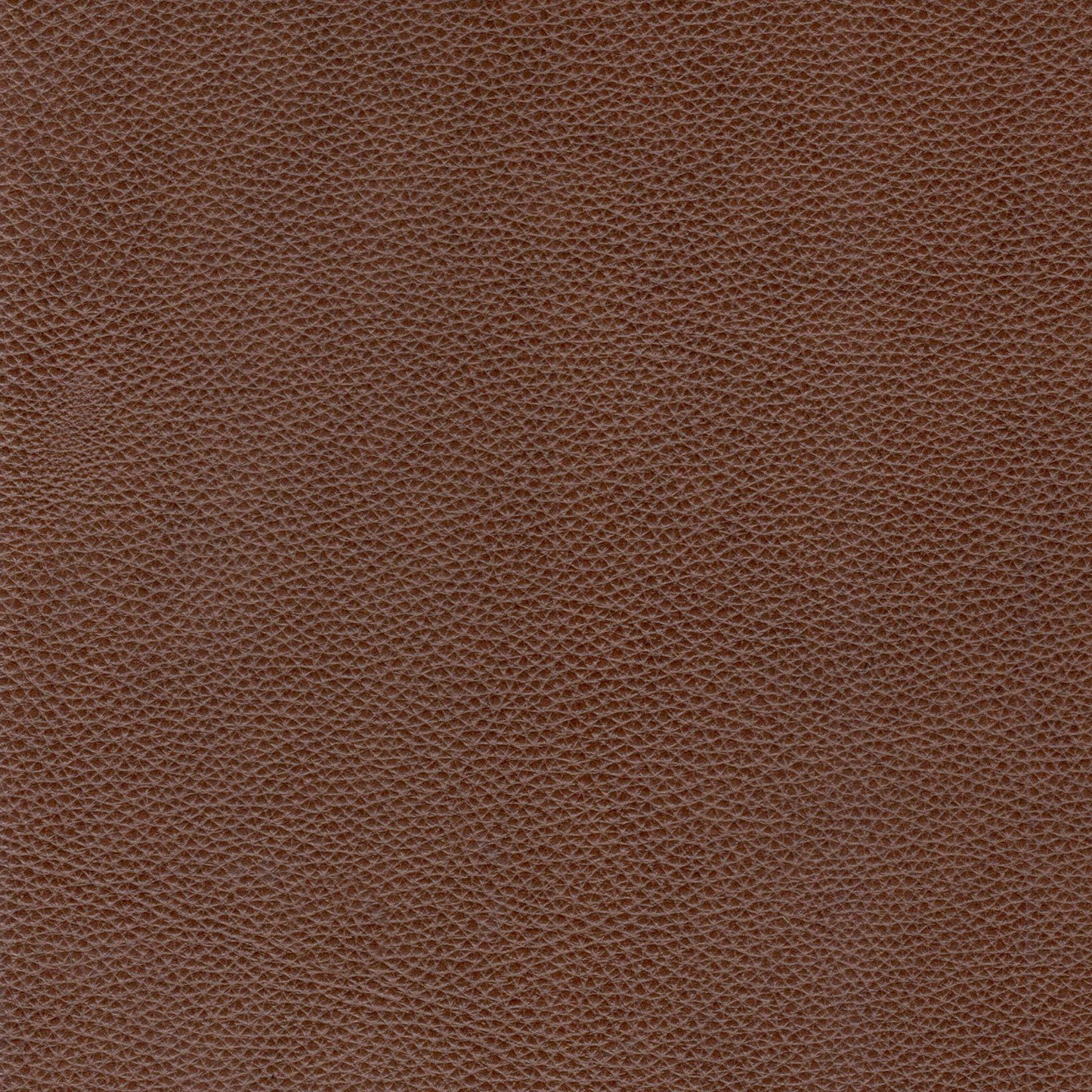 Modern & Contemporary Leather Sofa